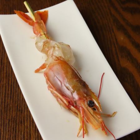 大きな赤海老又は天使の海老