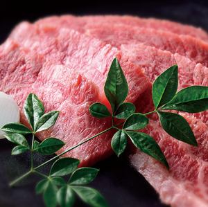Wagyu Beef rib