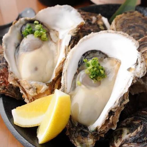[Online only!] Only for reservations! Raw oysters service!