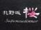 北野坂　桜