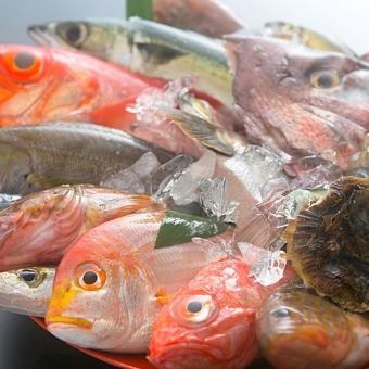 1日1組限定！接待等♪【地酒付150分飲み放題】尾頭付の鮮魚コース全８品6500円⇒6000円