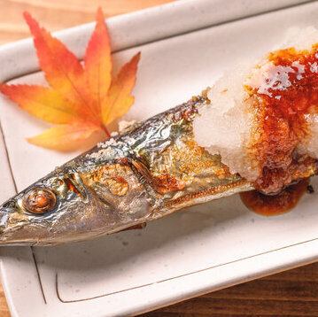 Seasonal saury fish has arrived!!