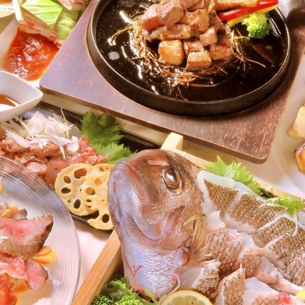 120分飲み放題付き！イベリコ豚&旬食材をご堪能♪【イベリコギャングコース】全10品5000円(税込)
