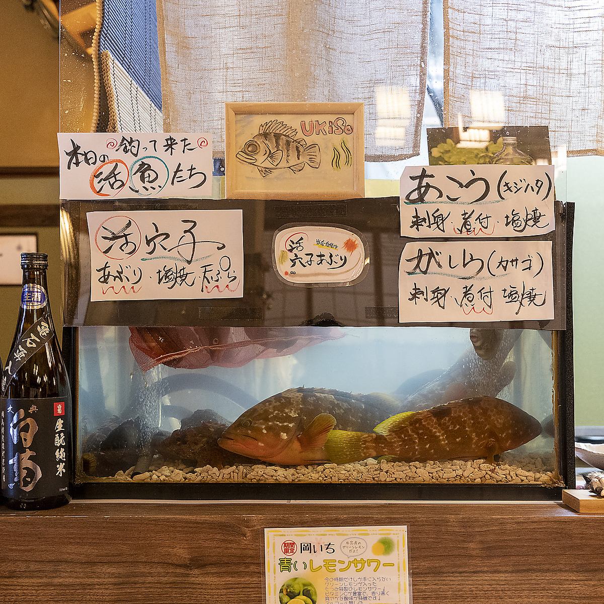 水槽のお魚は店主自ら釣ったお魚！その場で調理いたします♪