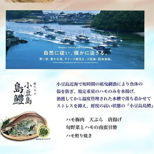 小豆島島鱧