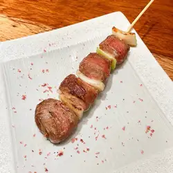 沙骑