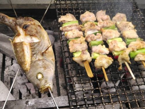 【とれたて厳選食材】朝一番に仕入れた鮮度の良い海鮮【600円～】