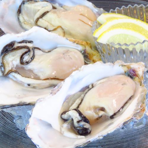 Unglazed oyster