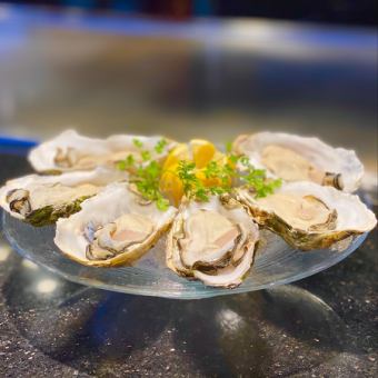 Raw oysters (true oysters)
