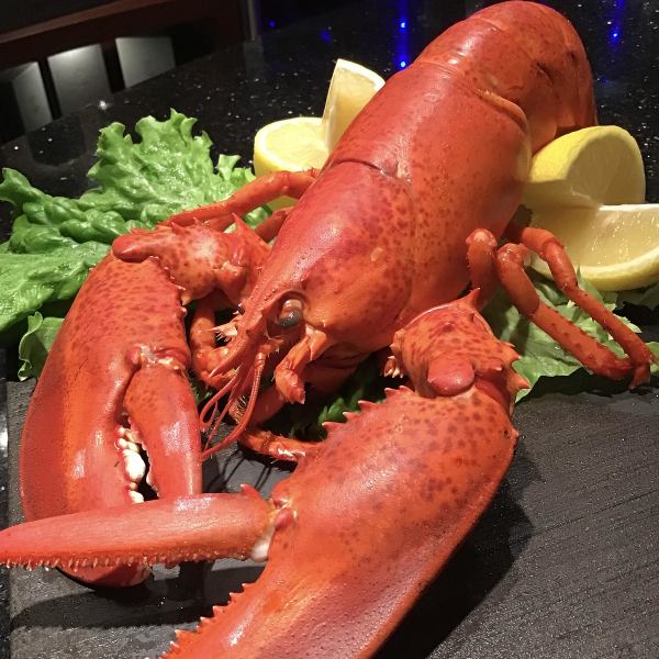 【ロブスター】刺身、オーブン焼きや鉄板焼きで素材とスキルを愉しむ…プリプリな食感をご堪能ください。