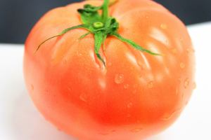 Fresh Tomato