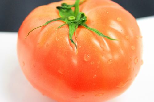 신선한 토마토