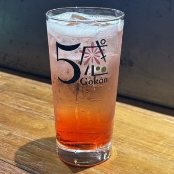 飲み放題単品≪2,400円(税込)≫