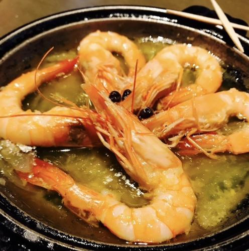 Angel Shrimp