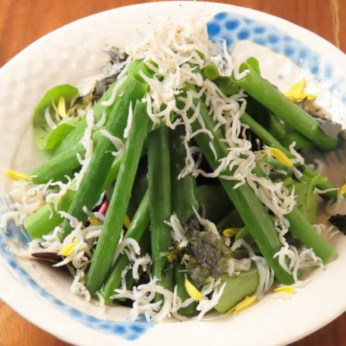 시노시마산 시라스와 파의 샐러드
