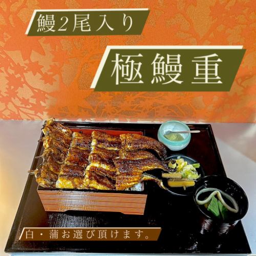 極鰻重