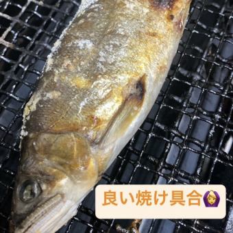 Salt-grilled wild sweetfish from Totsukawa