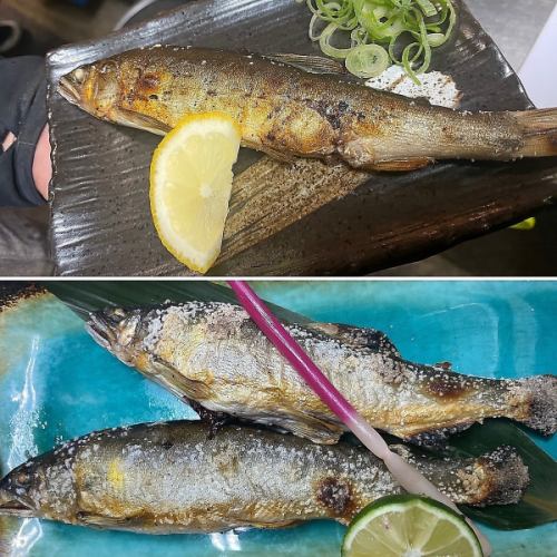 十津川産！！天然鮎の塩焼き