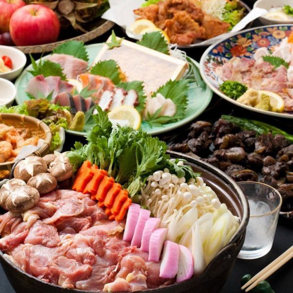 [Affordable and enjoyable★] [Recommended course with local chicken hot pot + fresh fish] All-you-can-drink included! 4,400 yen (tax included)
