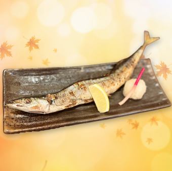 Grilled salted saury