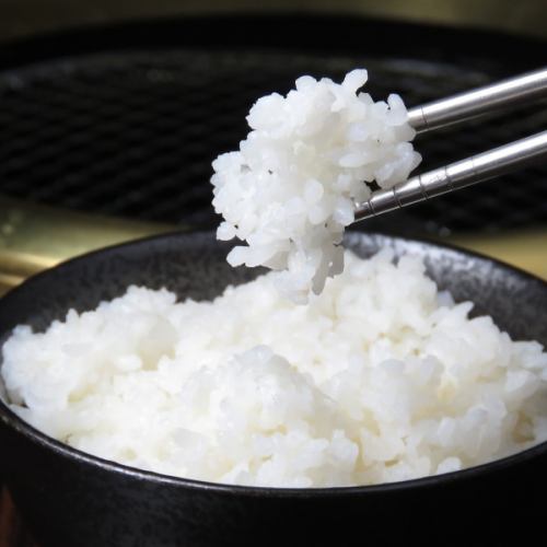 rice (medium)
