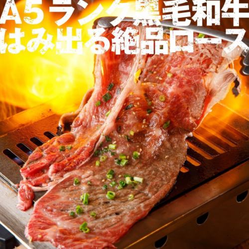 A5ランクのカーテンロース