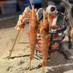 Grilled red shrimp in its shell (1 piece)