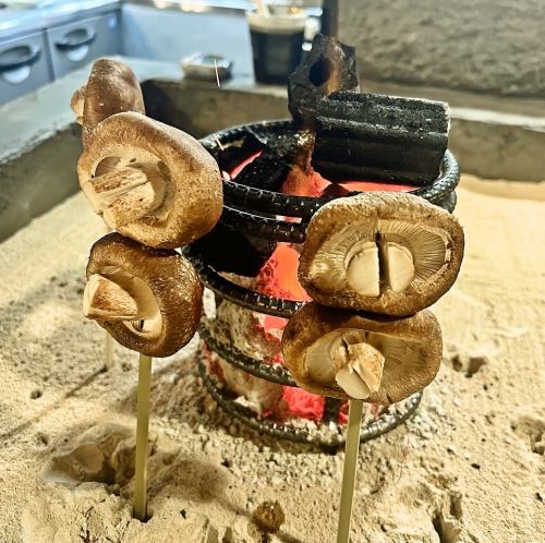 Donko shiitake mushroom