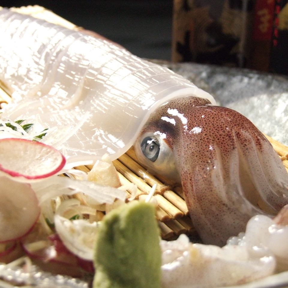 [Sugu Gion Station]有一個魚缸◎享受活魷魚，鯖魚，竹莢魚等新鮮魚類