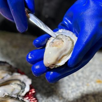 喜多嬉かきPlatinum