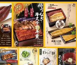 Eel and beef steak rice bowl, grilled eel, two-color rice bowl