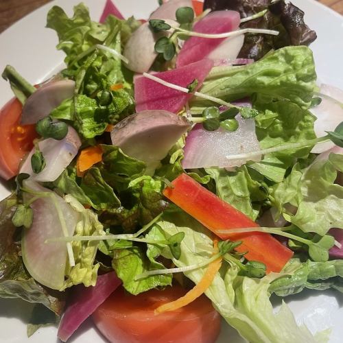Colorful salad with various Kamakura vegetables