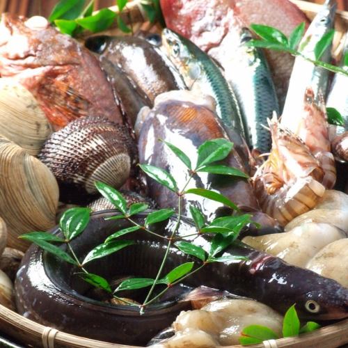 Seto Inland Seafood / Himeji Geological Foodstuff
