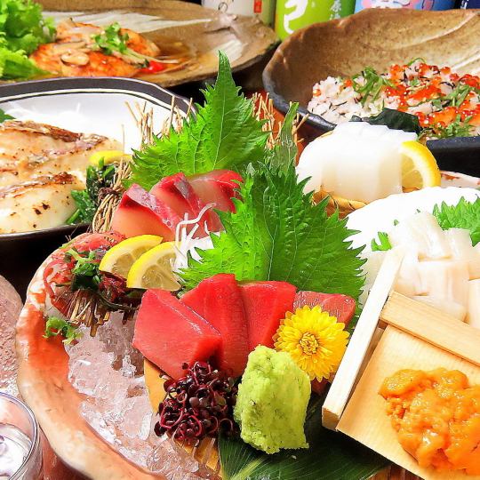 [Dodo Course] Directly from the market! 9 dishes with luxurious sashimi assortment + 120 minutes [All-you-can-drink] ⇒ 3,500 yen (tax included)