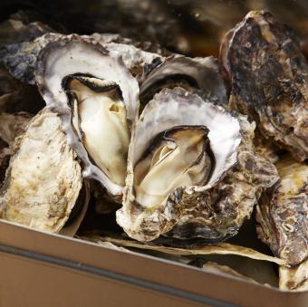Directly from Hiroshima! Specialty! Steamed oysters in cans 1Kg
