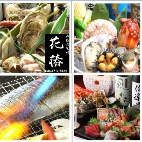 Purchased daily ◎ Many fresh seafood sashimi and a la carte dishes