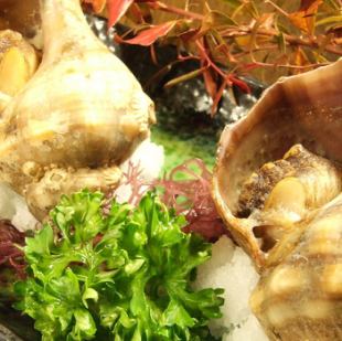 烤海螺(2个)*数量有限