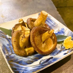 原木しいたけ炭火焼き