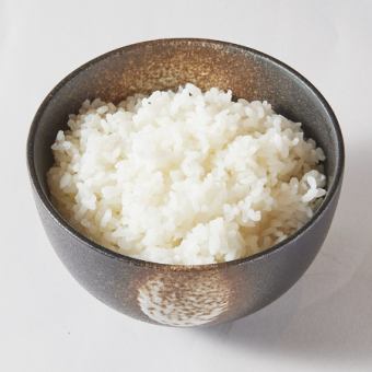 ご飯