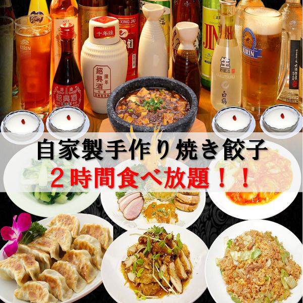 [Very Satisfying!] All-you-can-eat homemade gyoza course for 3,200 yen! [Banquet/Private Party] +1,200 yen for 2 hours of all-you-can-drink!