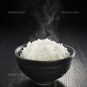 ご飯（大・中・小）