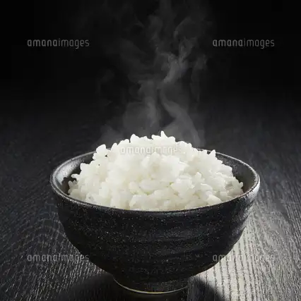 ご飯（大・中・小）