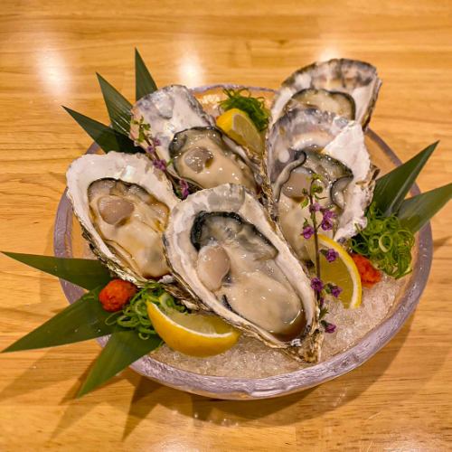 [Raw oysters] Plain