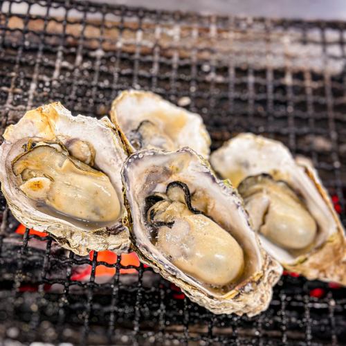 [Grilled oysters] Plain