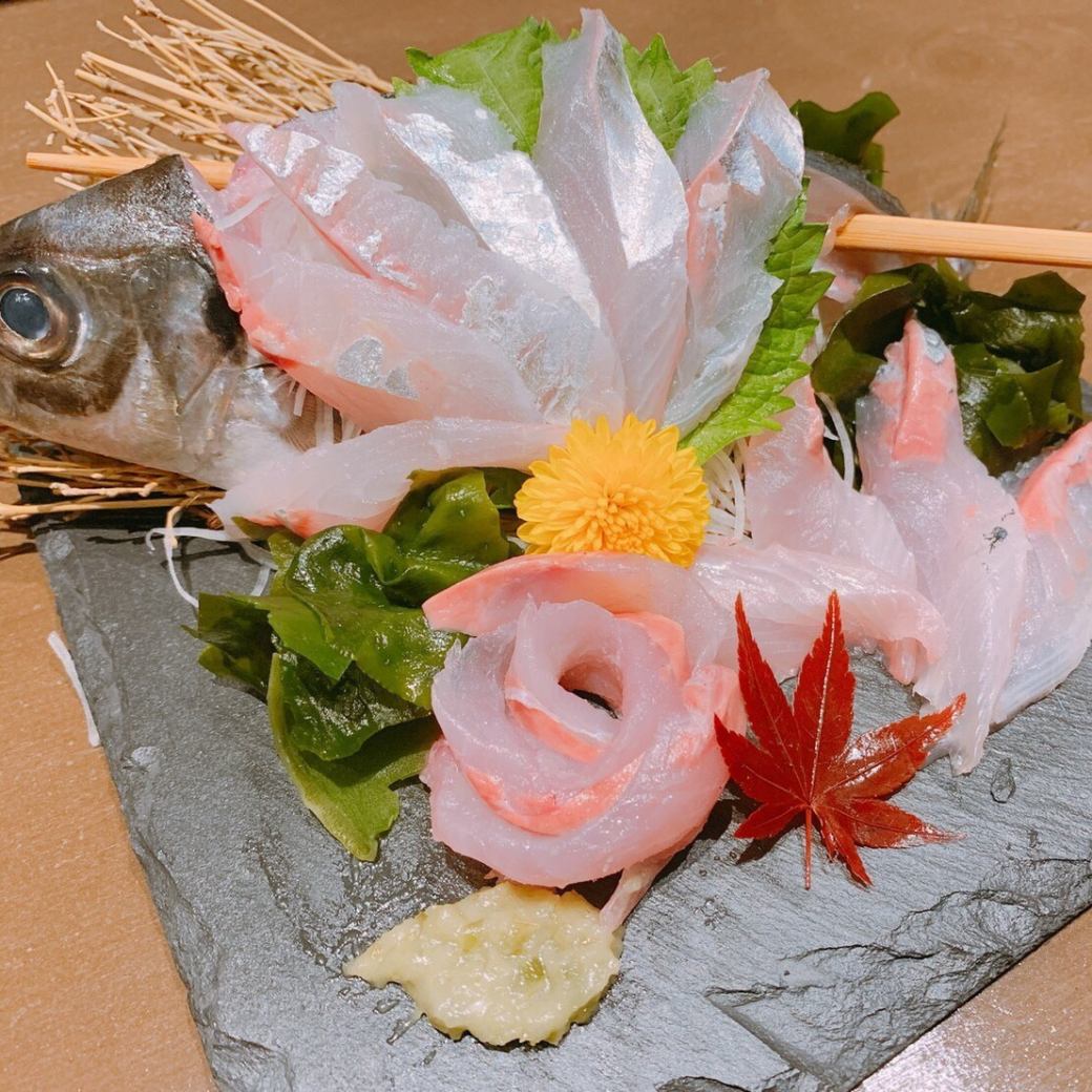 Assorted sashimi where you can enjoy fresh seafood.