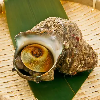 活サザエの壷焼 1個／活ホッキ貝の殻焼　1個