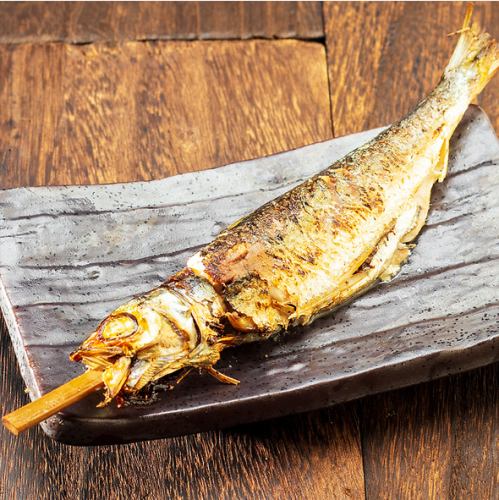 ジャンボいわし串