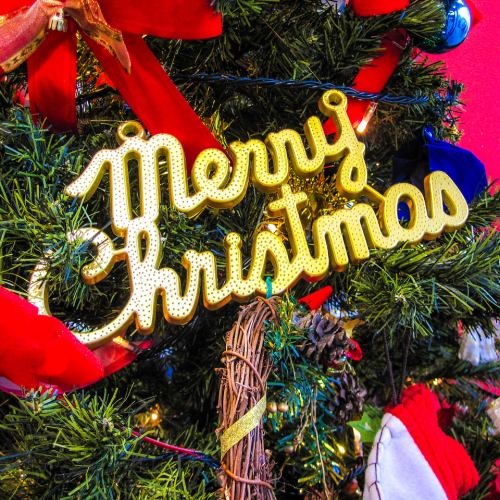 僅限24日及25日兩天:【聖誕套餐】6道菜+120分鐘暢飲,僅需4000日元