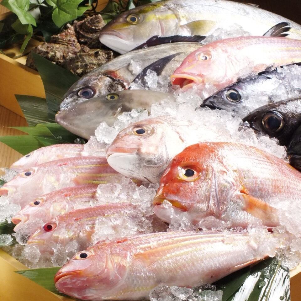 松戸で美味しい魚が食べたい時は…松戸東口スグ!!はなの舞へ♪