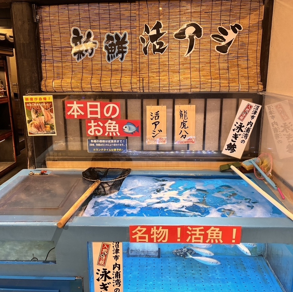 如果您想在松戶品嚐美味的魚…那就去松戶東口附近的 Hananomai 吧！